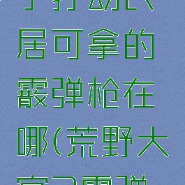 《荒野大镖客2》新手打劫民居可拿的霰弹枪在哪(荒野大镖客2霰弹枪子弹配方)