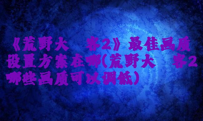 《荒野大镖客2》最佳画质设置方案在哪(荒野大镖客2哪些画质可以调低)