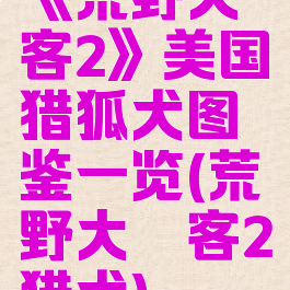 《荒野大镖客2》美国猎狐犬图鉴一览(荒野大镖客2猎犬)