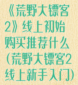 《荒野大镖客2》线上初始购买推荐什么(荒野大镖客2线上新手入门)