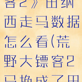 《荒野大镖客2》田纳西走马数据怎么看(荒野大镖客2马换成了田纳西)