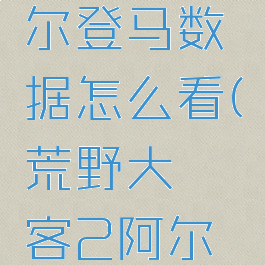 《荒野大镖客2》阿尔登马数据怎么看(荒野大镖客2阿尔登马胆子大吗)