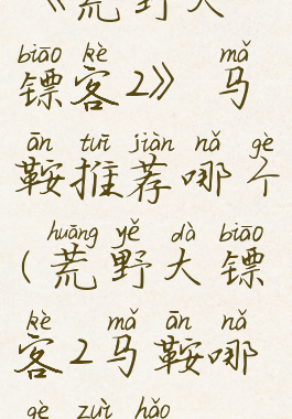 《荒野大镖客2》马鞍推荐哪个(荒野大镖客2马鞍哪个最好)