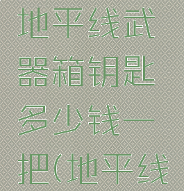 《csgo》地平线武器箱钥匙多少钱一把(地平线武器箱子)