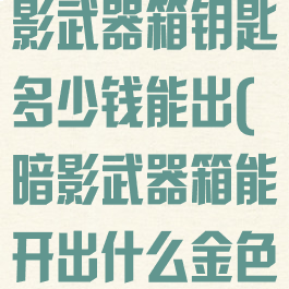 《csgo》暗影武器箱钥匙多少钱能出(暗影武器箱能开出什么金色)