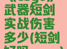 《csgo》武器短剑实战伤害多少(短剑好吗csgo)