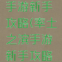 率土之滨手游新手攻略(率土之滨手游新手攻略最新)