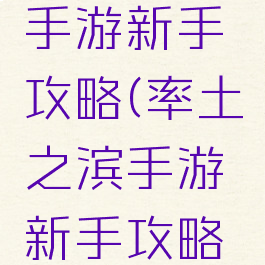 率土之滨手游新手攻略(率土之滨手游新手攻略贴吧)