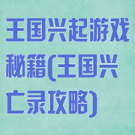 王国兴起游戏秘籍(王国兴亡录攻略)