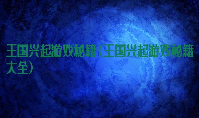 王国兴起游戏秘籍(王国兴起游戏秘籍大全)