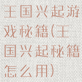 王国兴起游戏秘籍(王国兴起秘籍怎么用)