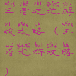 王者之光游戏攻略(王者光辉攻略)