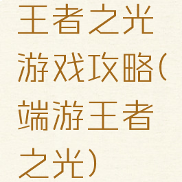 王者之光游戏攻略(端游王者之光)