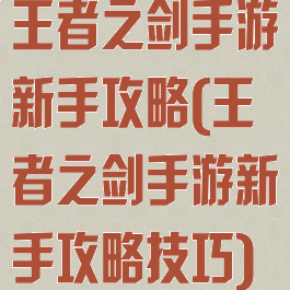 王者之剑手游新手攻略(王者之剑手游新手攻略技巧)