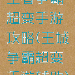 王者争霸超变手游攻略(王城争霸超变手游辅助)