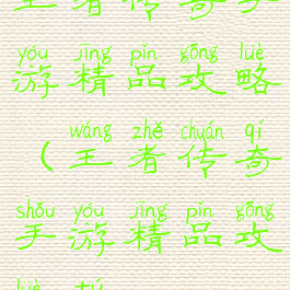 王者传奇手游精品攻略(王者传奇手游精品攻略图)