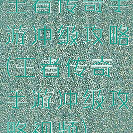 王者传奇手游冲级攻略(王者传奇手游冲级攻略视频)