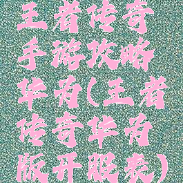 王者传奇手游攻略华为(王者传奇华为版开服表)