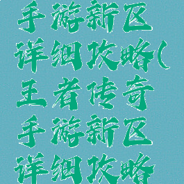 王者传奇手游新区详细攻略(王者传奇手游新区详细攻略大全)