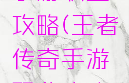 王者传奇手游职业攻略(王者传奇手游职业攻略视频)