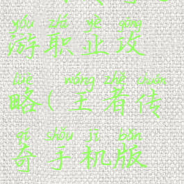 王者传奇手游职业攻略(王者传奇手机版攻略)