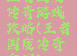 王者国度传奇游戏攻略(王者国度传奇官网)