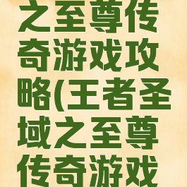 王者圣域之至尊传奇游戏攻略(王者圣域之至尊传奇游戏攻略大全)