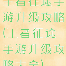 王者征途手游升级攻略(王者征途手游升级攻略大全)