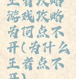 王者攻略游戏攻略为何点不开(为什么王者点不开)