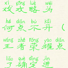 王者攻略游戏攻略为何点不开(王者荣耀点了确定进不去)