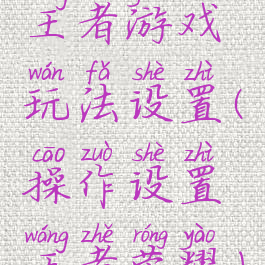王者游戏玩法设置(操作设置王者荣耀)