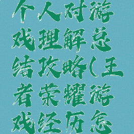 王者荣耀个人对游戏理解总结攻略(王者荣耀游戏经历怎么写)