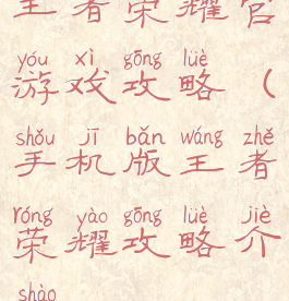 王者荣耀官游戏攻略(手机版王者荣耀攻略介绍)