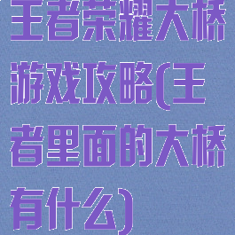 王者荣耀大桥游戏攻略(王者里面的大桥有什么)
