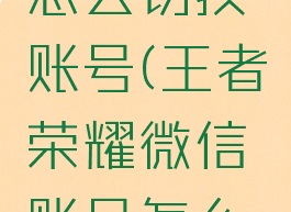 王者荣耀微信和qq怎么切换账号(王者荣耀微信账号怎么切换qq账号)