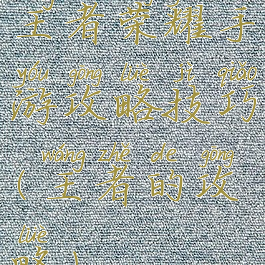 王者荣耀手游攻略技巧(王者的攻略)