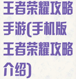 王者荣耀攻略手游(手机版王者荣耀攻略介绍)