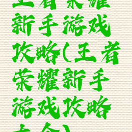 王者荣耀新手游戏攻略(王者荣耀新手游戏攻略大全)