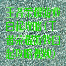 王者荣耀游戏白起攻略(王者荣耀游戏白起攻略视频)