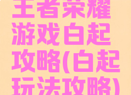 王者荣耀游戏白起攻略(白起玩法攻略)