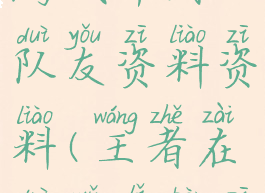 王者荣耀游戏中看队友资料资料(王者在队伍里看资料)