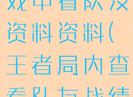 王者荣耀游戏中看队友资料资料(王者局内查看队友战绩)