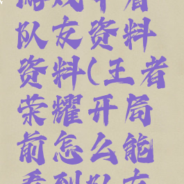 王者荣耀游戏中看队友资料资料(王者荣耀开局前怎么能看到队友的资料)