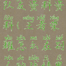 王者荣耀游戏中看队友资料资料(王者荣耀怎么在别人的战绩里看队友的资料)