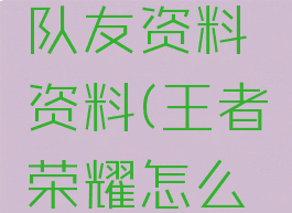 王者荣耀游戏中看队友资料资料(王者荣耀怎么查看队友资料)