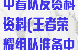 王者荣耀游戏中看队友资料资料(王者荣耀组队准备中看队友资料)