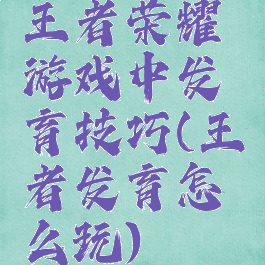 王者荣耀游戏中发育技巧(王者发育怎么玩)