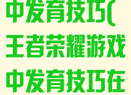 王者荣耀游戏中发育技巧(王者荣耀游戏中发育技巧在哪)