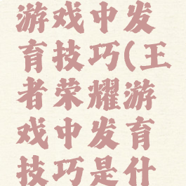 王者荣耀游戏中发育技巧(王者荣耀游戏中发育技巧是什么)