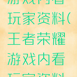 王者荣耀游戏内看玩家资料(王者荣耀游戏内看玩家资料在哪)